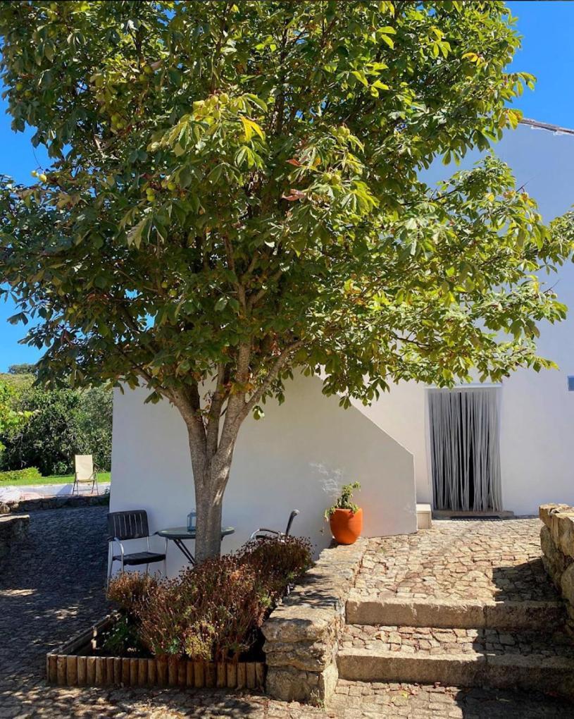 Quinta D'Abegoa Βίλα Marvão Εξωτερικό φωτογραφία