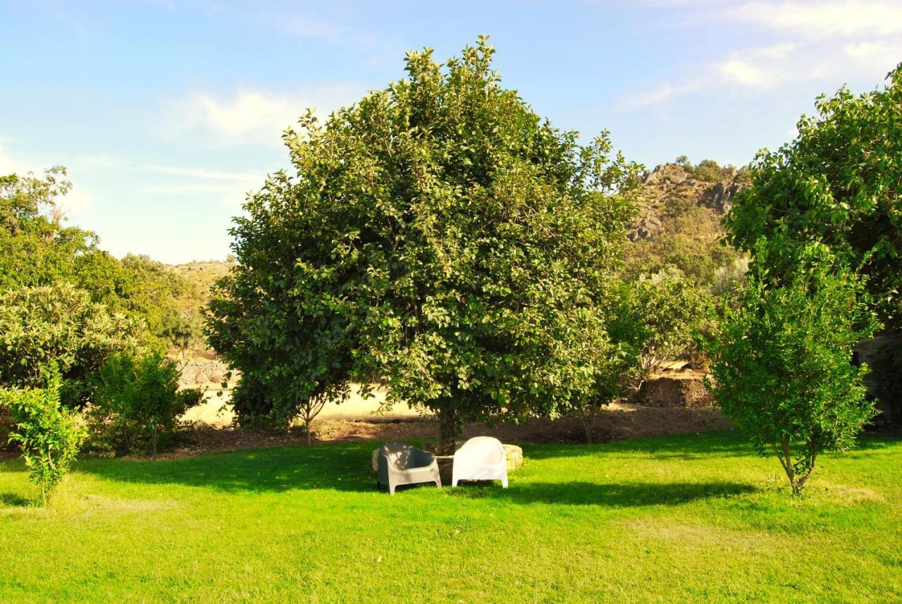 Quinta D'Abegoa Βίλα Marvão Εξωτερικό φωτογραφία